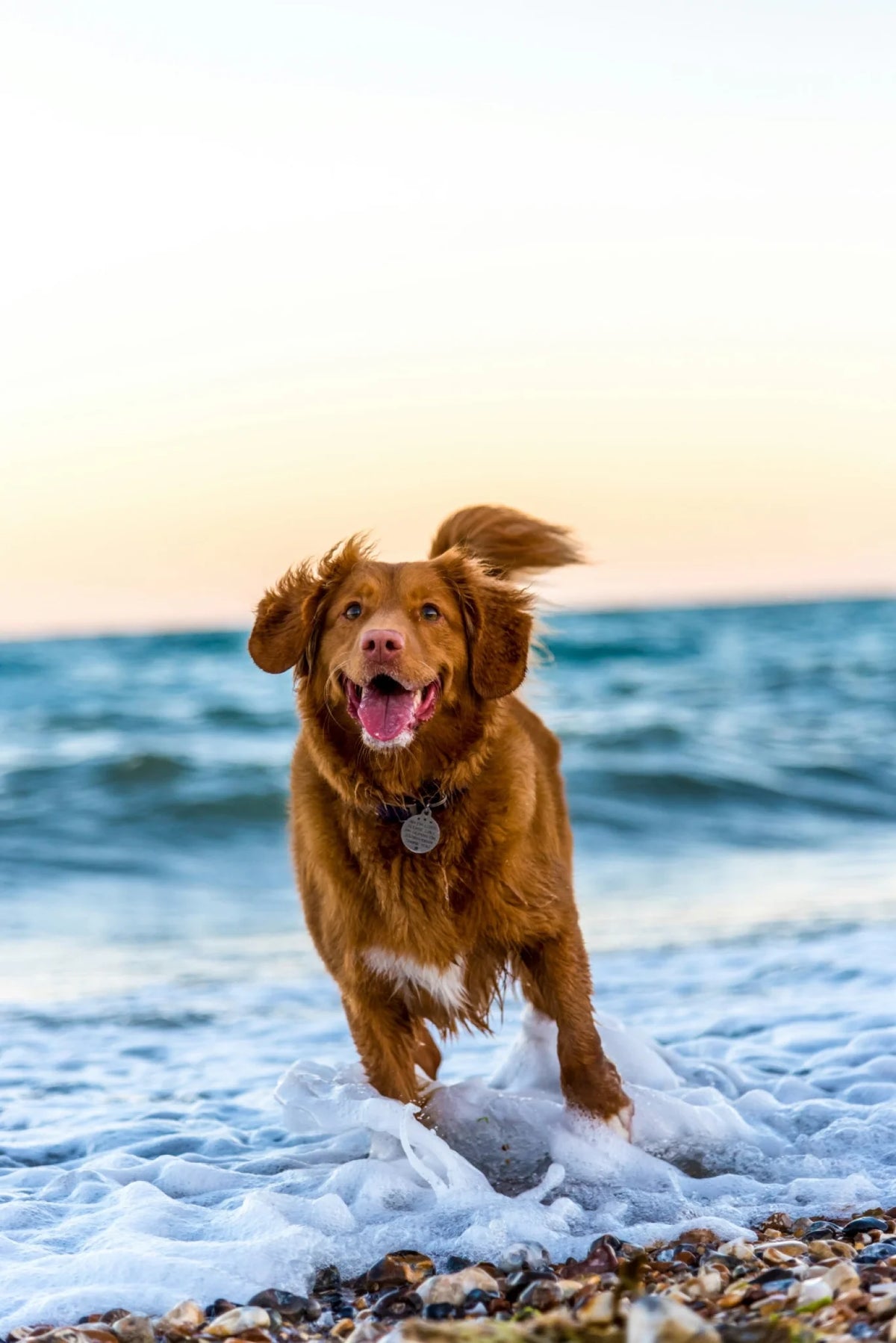 oscar-sutton-yihlaRCCvd4-unsplash