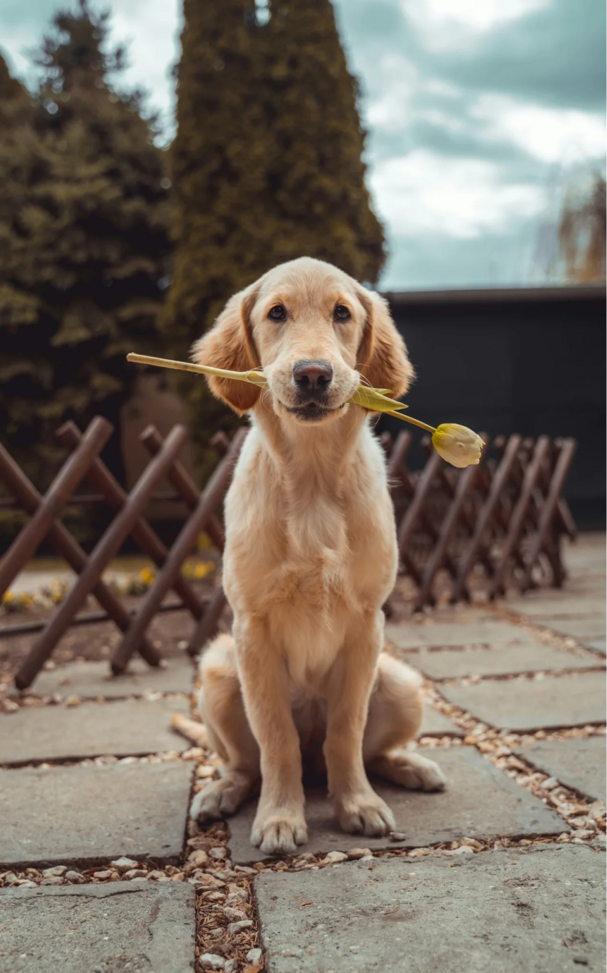 richard-brutyo-Sg3XwuEpybU-unsplash